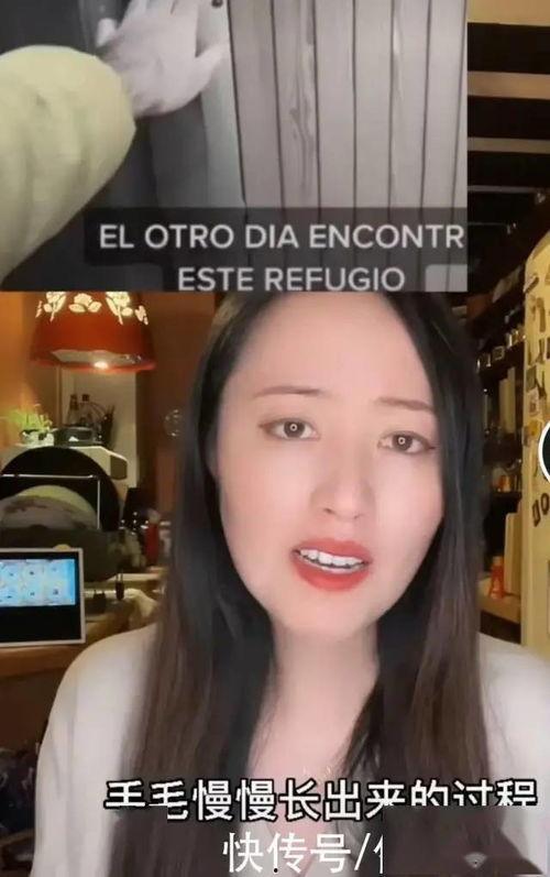 穿越者吃瓜视频,揭秘古代奇闻轶事