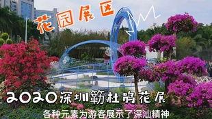 深圳湾小乐吃瓜视频,揭秘网红美食背后的故事